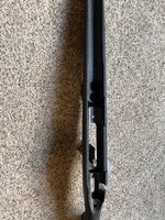 IMG_6062.jpeg