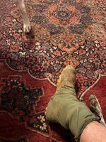 IMG_0024.jpeg