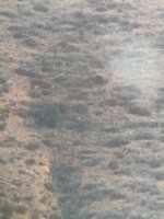IMG_5180.jpeg