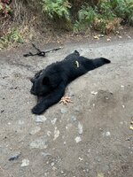 IMG_9671.jpeg