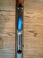 IMG_4599.jpeg