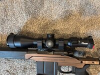 IMG_3165 Medium.jpeg