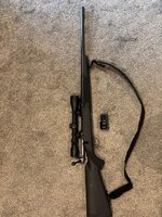 IMG_3159 Medium.jpeg