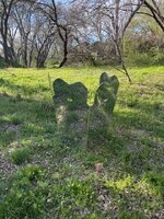 IMG_3075 Medium.jpeg