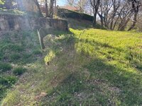 IMG_3077 Medium.jpeg