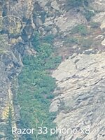 IMG_20250809_114403673~2.jpg