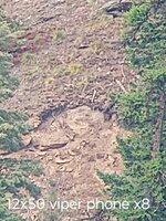 IMG_20250809_115336993~2.jpg