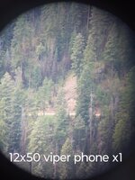 IMG_20250809_115319392~2.jpg