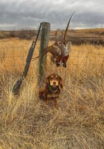 IMG_1420.jpeg