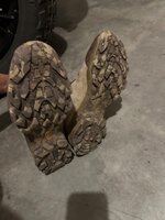 IMG_4116.jpeg