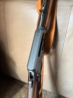IMG_2132.jpeg