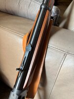 IMG_2133.jpeg