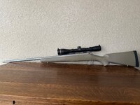 IMG_8533.jpeg
