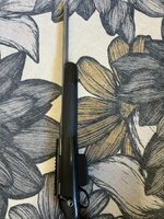 IMG_2950.jpeg
