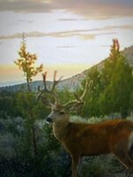 IMG_7970.jpeg