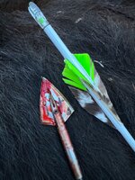 IMG_0362.jpeg