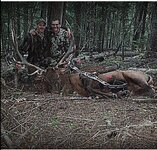 IMG_1381.jpeg