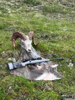 IMG_4516.jpeg