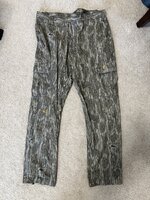 IMG_8010.jpeg