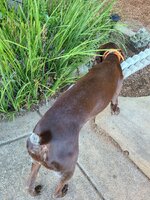 IMG_4835.jpeg