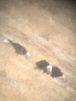 IMG_6293.jpeg