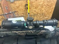 IMG_1106.jpeg
