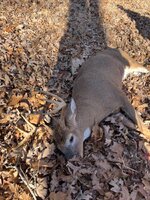 IMG_3473.jpeg