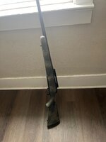 IMG_1875.jpeg