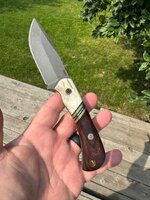 IMG_0222.jpeg
