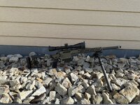 IMG_6595.jpeg