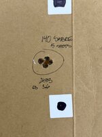 IMG_6615.jpeg