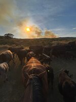 IMG_6333.jpeg