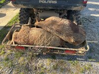 IMG_5840.jpeg