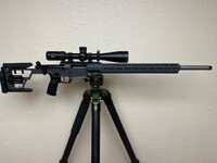 IMG_9619.jpeg