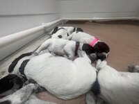 IMG_5794.jpeg