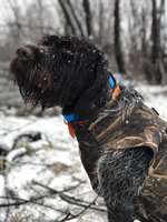 IMG_0902.jpeg