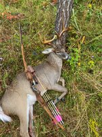 IMG_7041.jpeg