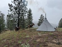 IMG_7126.jpeg