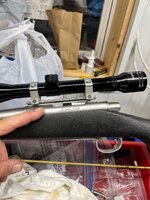IMG_2081.jpeg