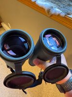 IMG_0260.jpeg