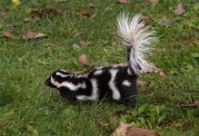IMG_6541.jpeg