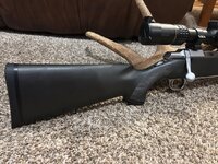 IMG_8516.jpeg
