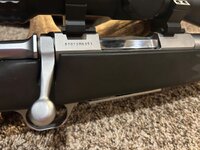 IMG_8518.jpeg