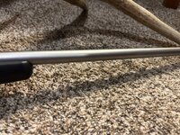 IMG_8520.jpeg