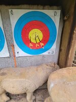 20250813_110901.jpg