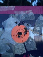 IMG_4010.jpeg