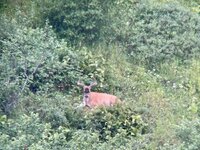 IMG_8415.jpg