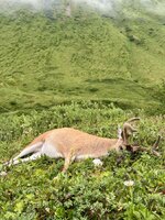 IMG_8476.jpg