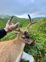 IMG_8474.jpg