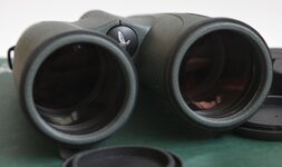 swa15x56-07.jpg